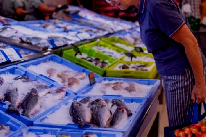 escort Pescaderia