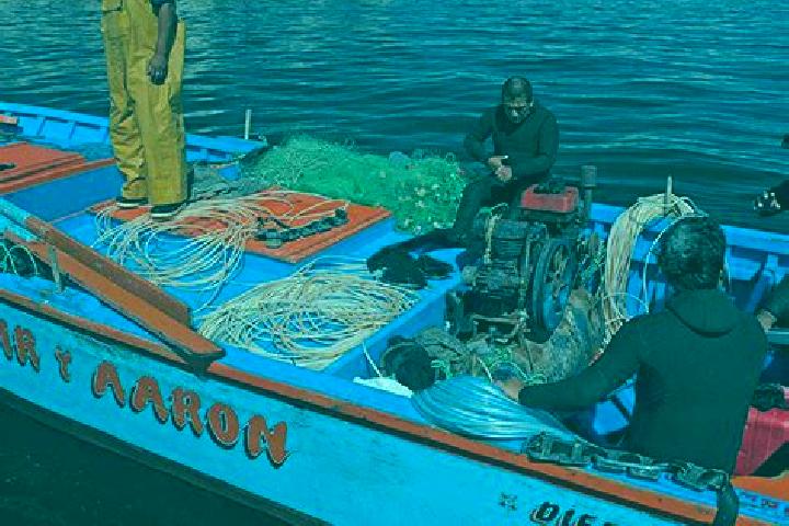 escort Pesqueria