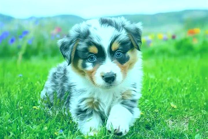 escort Petit-Thier