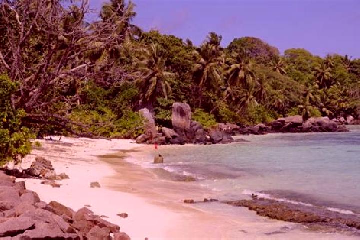 escort Petite Anse
