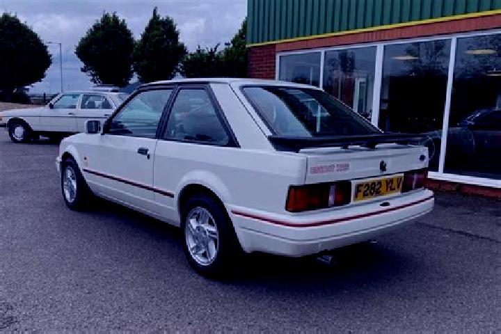 escort Petrusville