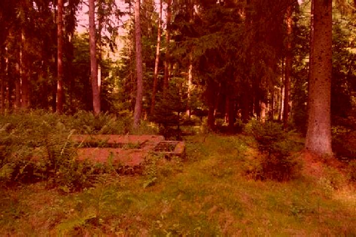 escort Pfaffenwald