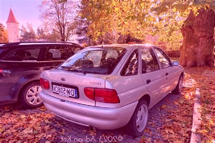 escort Pfiffelbach