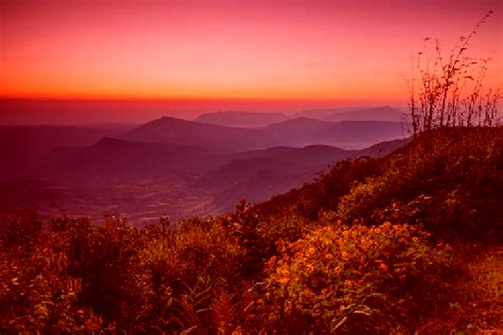 escort Phu Ruea