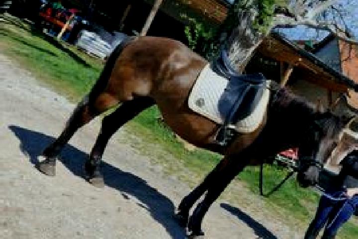 escort Pichling bei Koeflach