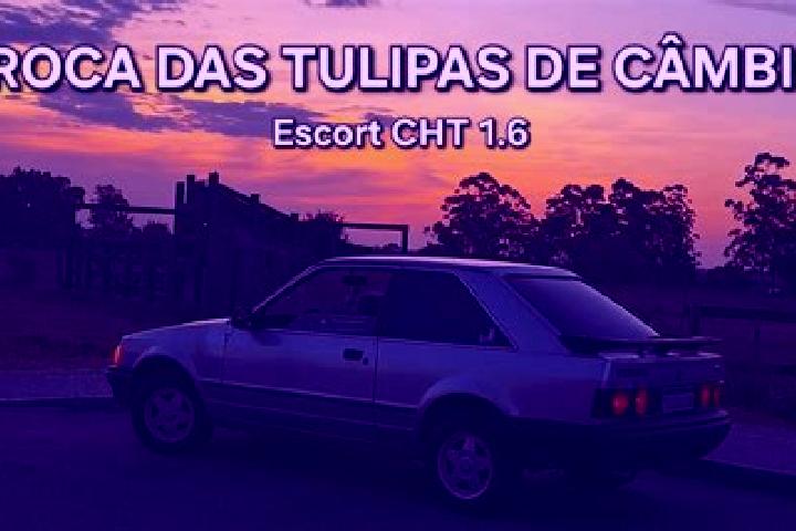 escort Picos Acima