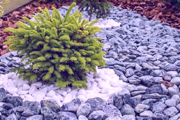 escort Piedras