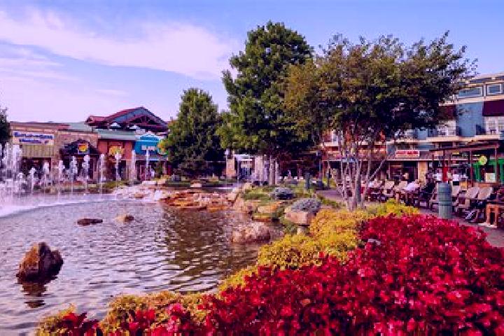 escort Pigeon Forge