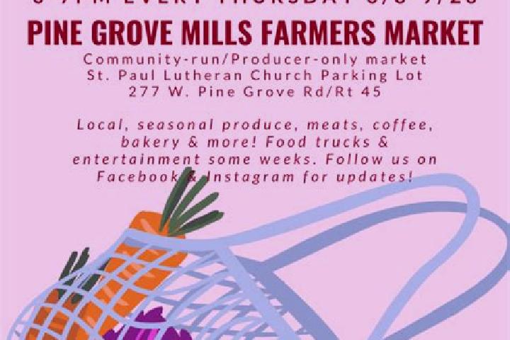 escort Pine Grove Mills