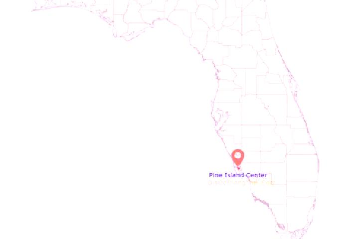 escort Pine Island Center