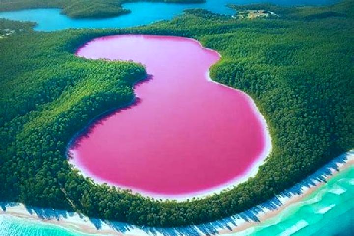 escort Pink Lake