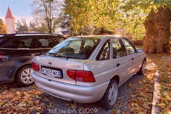 escort Pintesfeld
