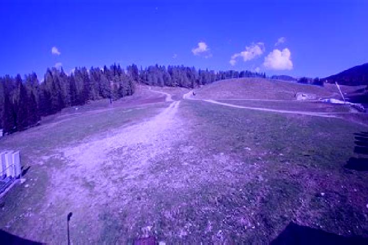 escort Pinzolo