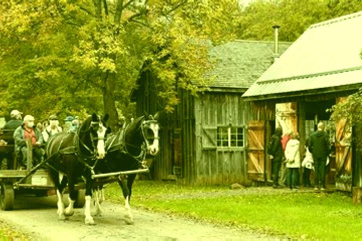 escort Pioneer Village