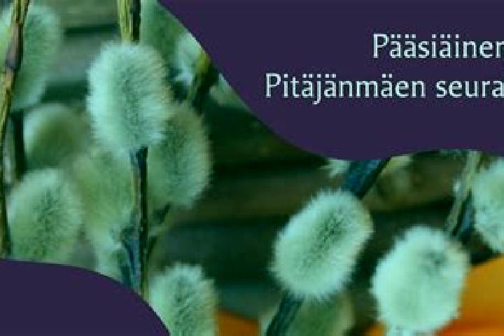 escort Pitaejaenmaeen yritysalue