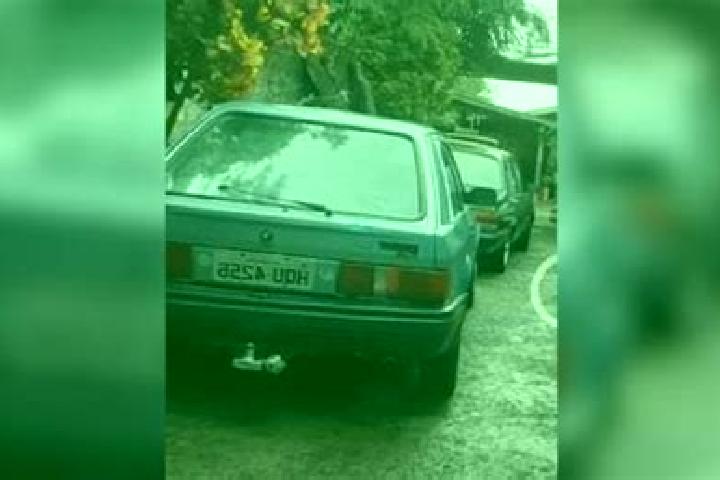 escort Placas