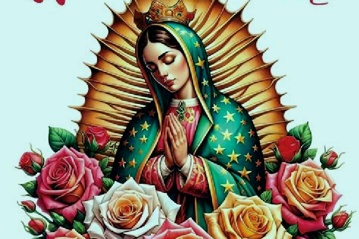 escort Plan de Guadalupe