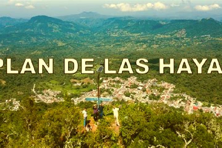 escort Plan de las Hayas
