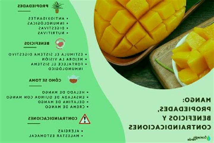 escort Plan de los Mangos