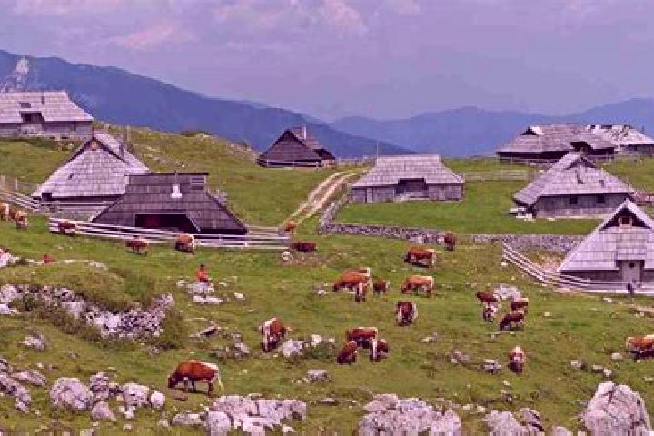 escort Planina