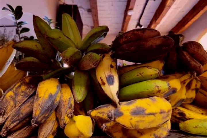 escort Platanos