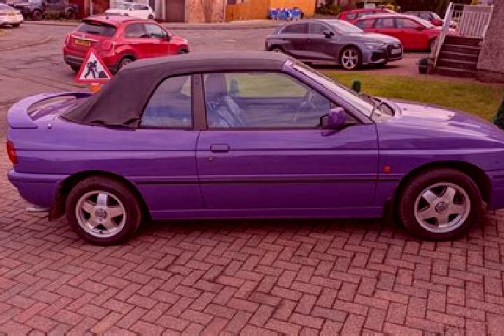 escort Plaue