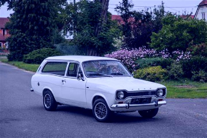 escort Plemo