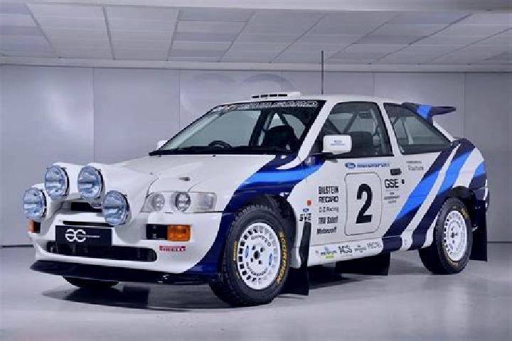 escort Plesani
