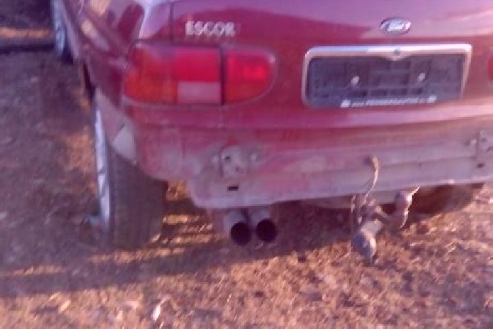 escort Plescoi