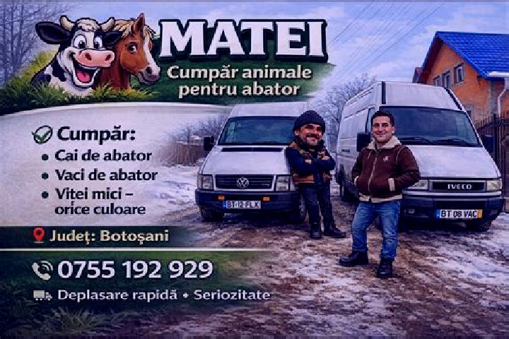 escort Plopenii Mari