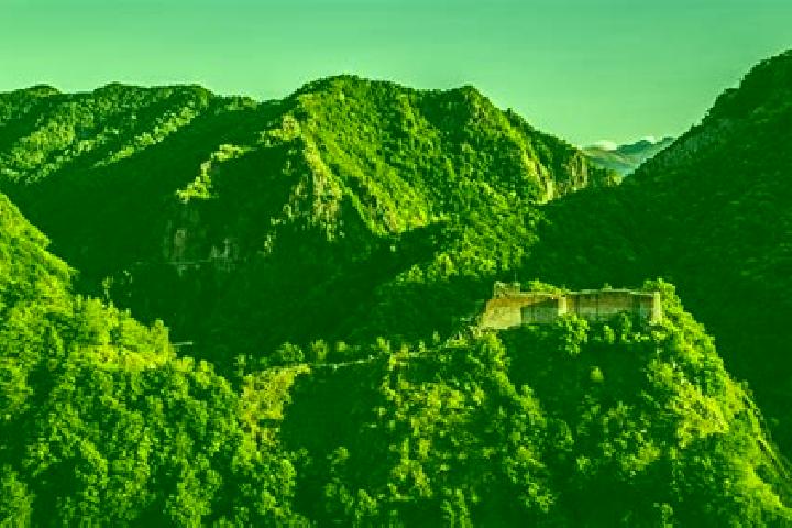 escort Poenari
