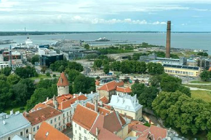 escort Pohja-Tallinn