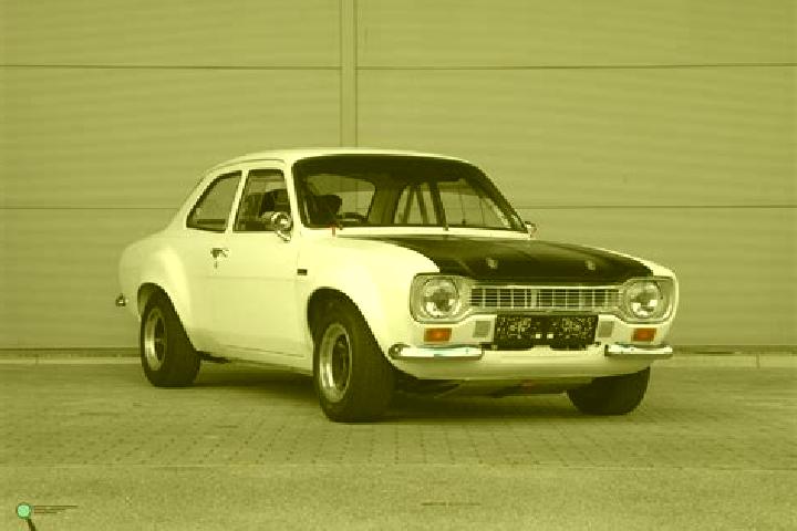 escort Poienesti