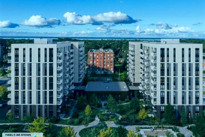 escort Pointe-Claire