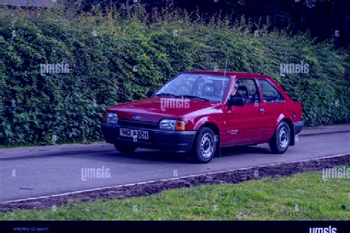 escort Polesine