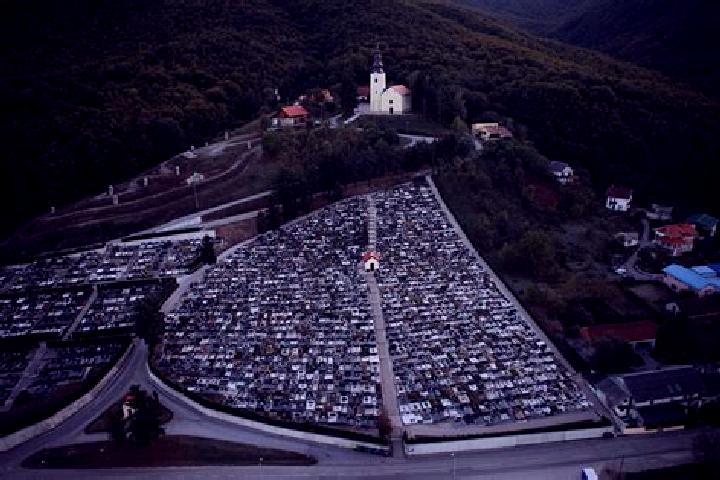 escort Poljanica Bistranska