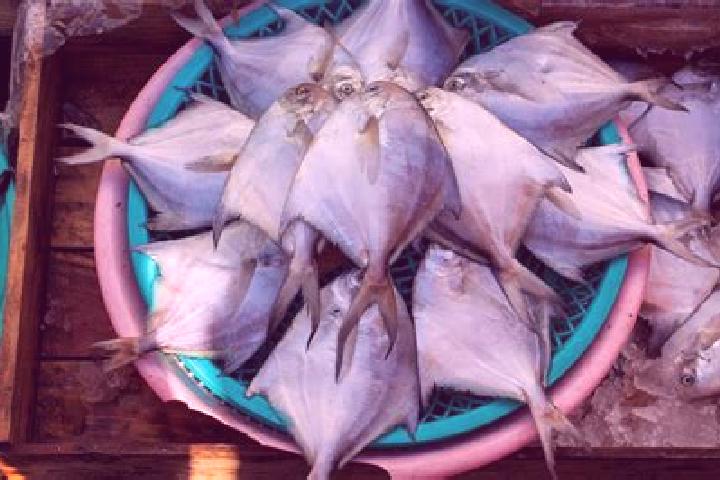 escort Pomfret