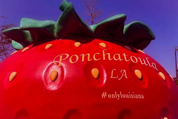 escort Ponchatoula