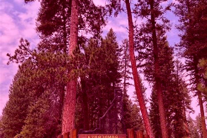 escort Ponderosa Park
