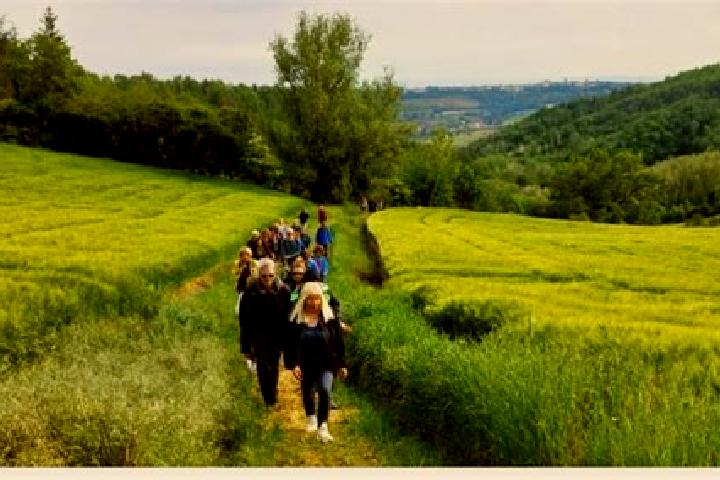 escort Ponzano Monferrato