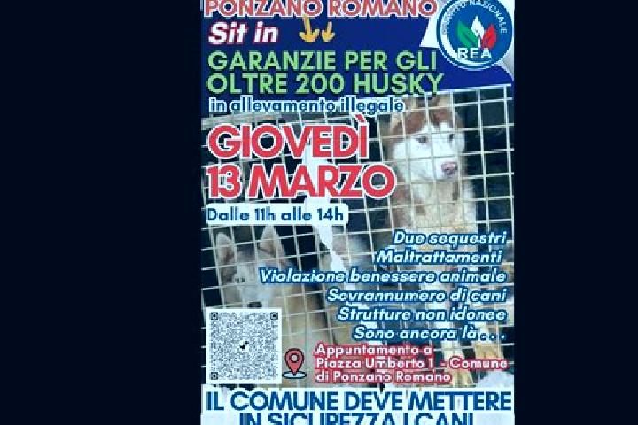 escort Ponzano Romano