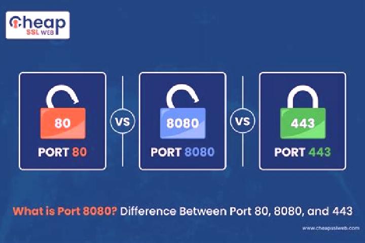 escort Port Hacking