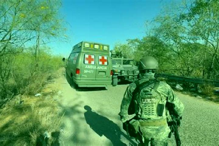 escort Potrerillo del Norote