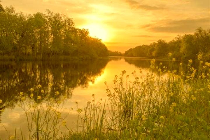 escort Pretty Bayou
