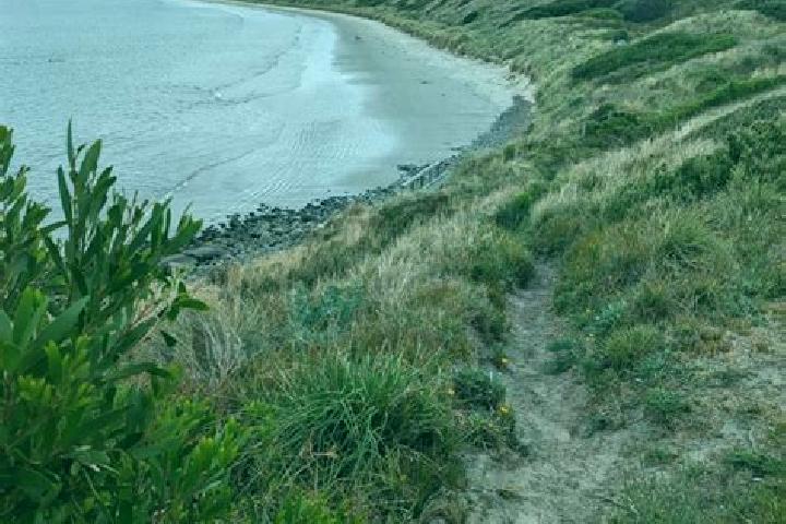 escort Primrose Sands