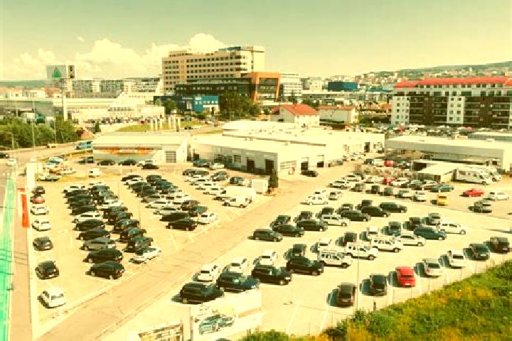 escort Puchenii Mosneni