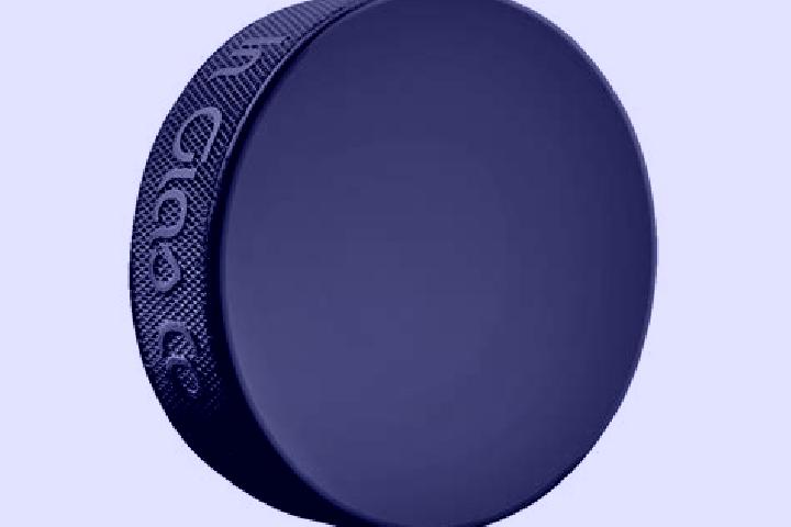 escort Puck