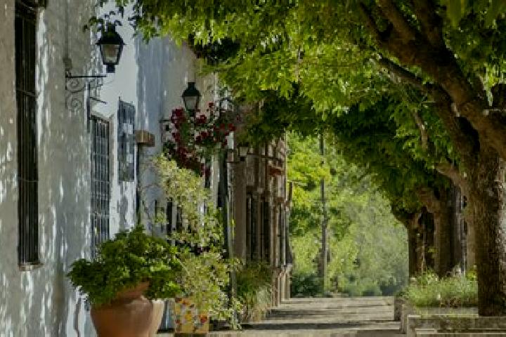 escort Pueblo Nuevo Colonia