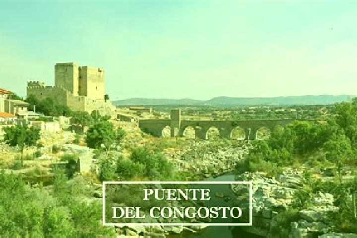 escort Puente del Congosto
