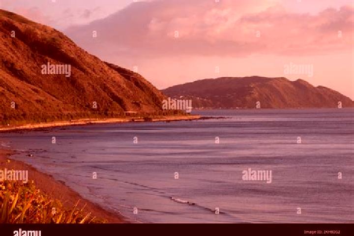 escort Pukerua Bay